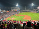 20250513_carp1.jpg