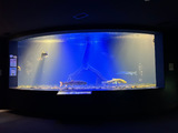20250901_yamanosuizokukan2.jpg