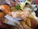 20250904_senchan2.jpg