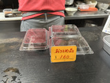 20260327_tatsuya3.jpeg