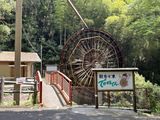 20260802_dekamaru2.jpeg